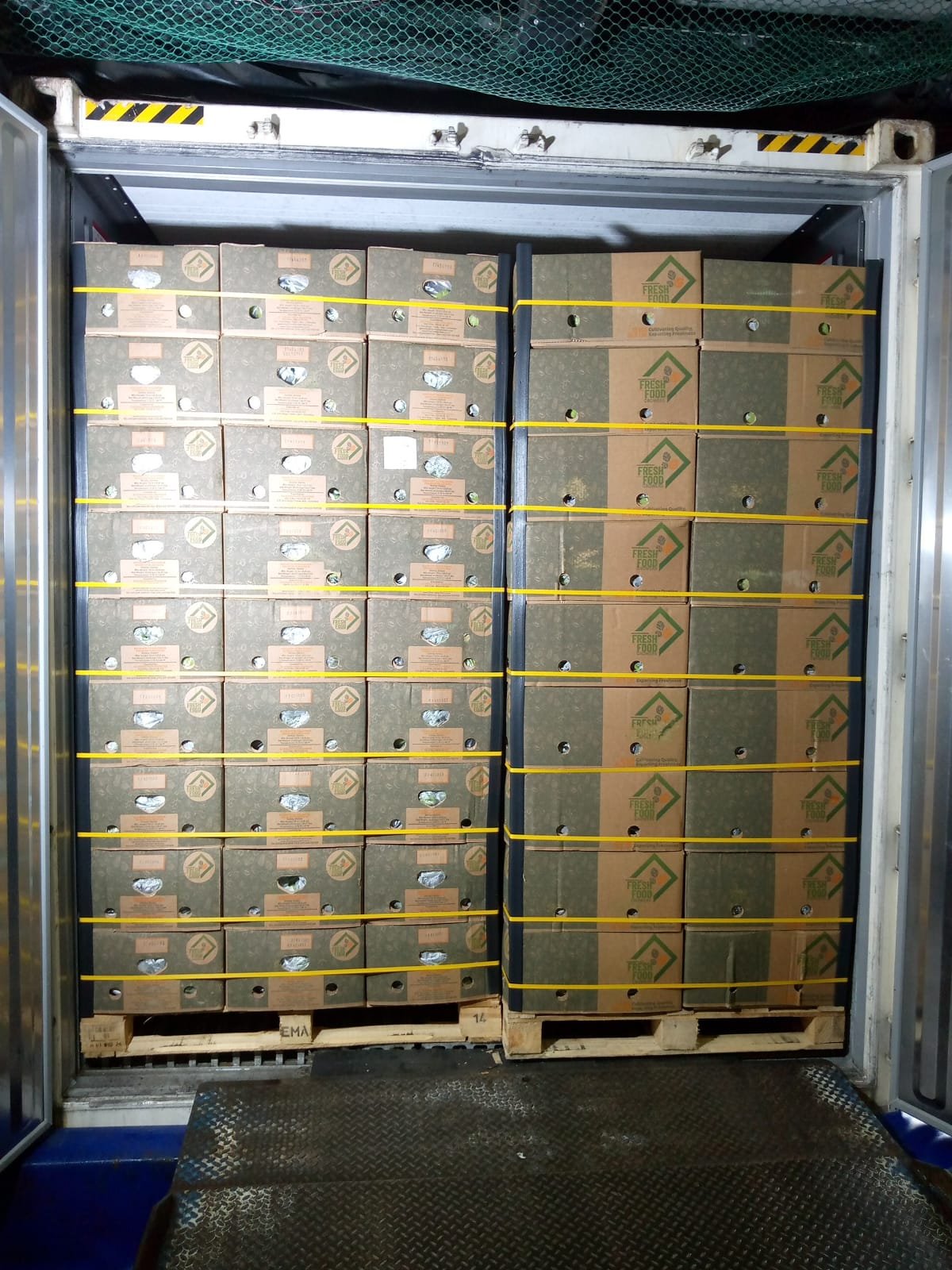 Cajas Fresh Food Growers estibadas dentro del contenedor